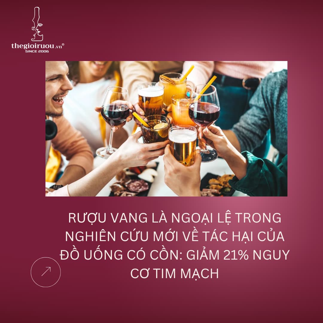 Rượu Vang Là Ngoại Lệ Trong Nghiên Cứu Mới Về Tác Hại Của Đồ Uống Có Cồn: Giảm 21% Nguy Cơ Tim Mạch