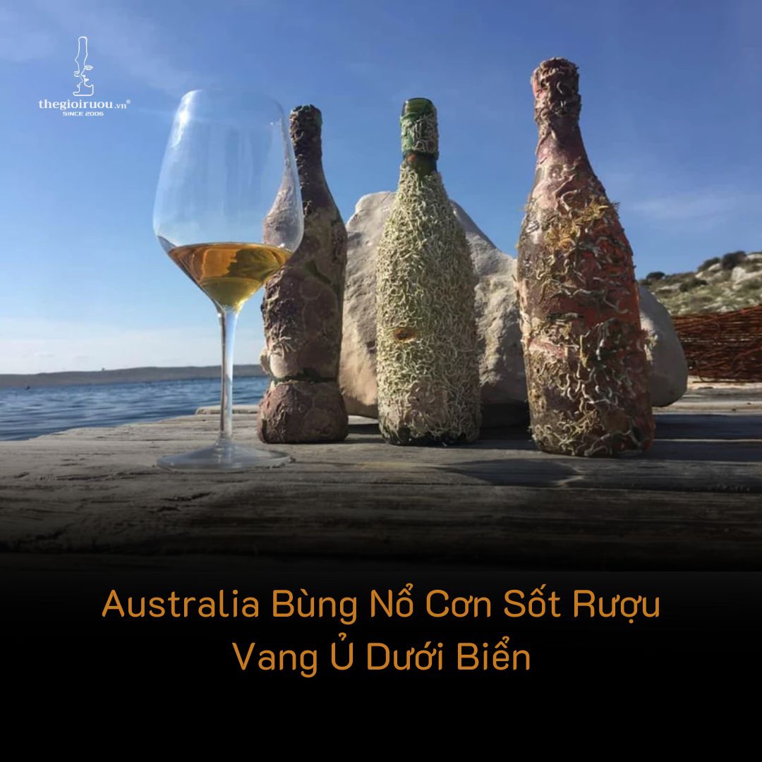 Australia Bùng Nổ Cơn Sốt Rượu Vang Ủ Dưới Biển