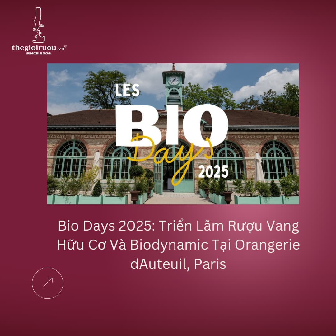 Bio Days 2025: Triển Lãm Rượu Vang Hữu Cơ Và Biodynamic Tại Orangerie dAuteuil, Paris