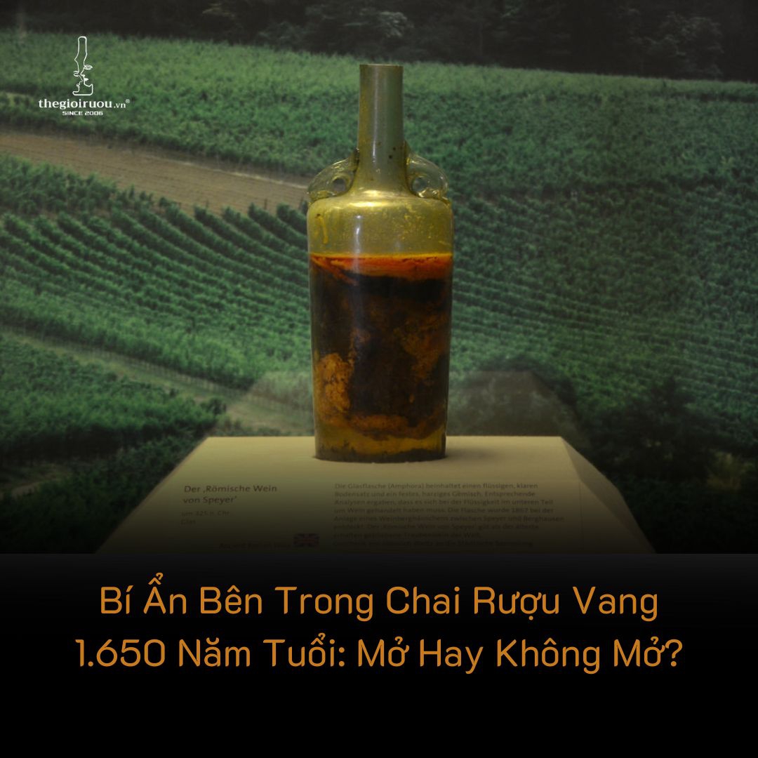 Bí Ẩn Bên Trong Chai Rượu Vang 1.650 Năm Tuổi: Mở Hay Không Mở?