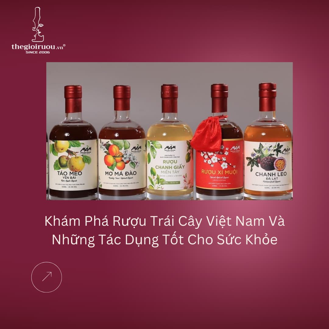 Khám Phá Rượu Trái Cây Việt Nam Và Những Tác Dụng Tốt Cho Sức Khỏe