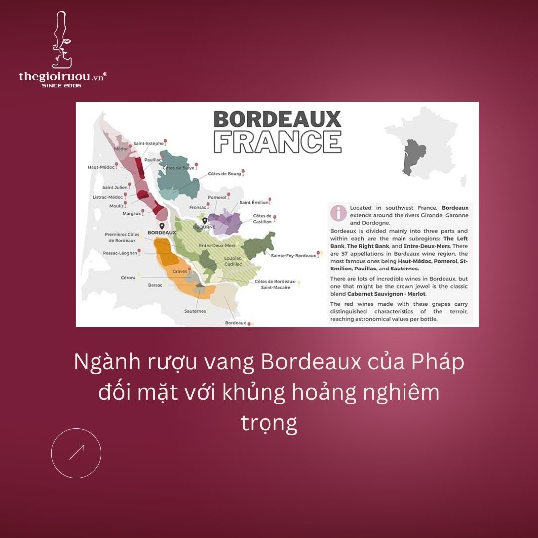 Ngành rượu vang Bordeaux của Pháp đối mặt với khủng hoảng nghiêm trọng