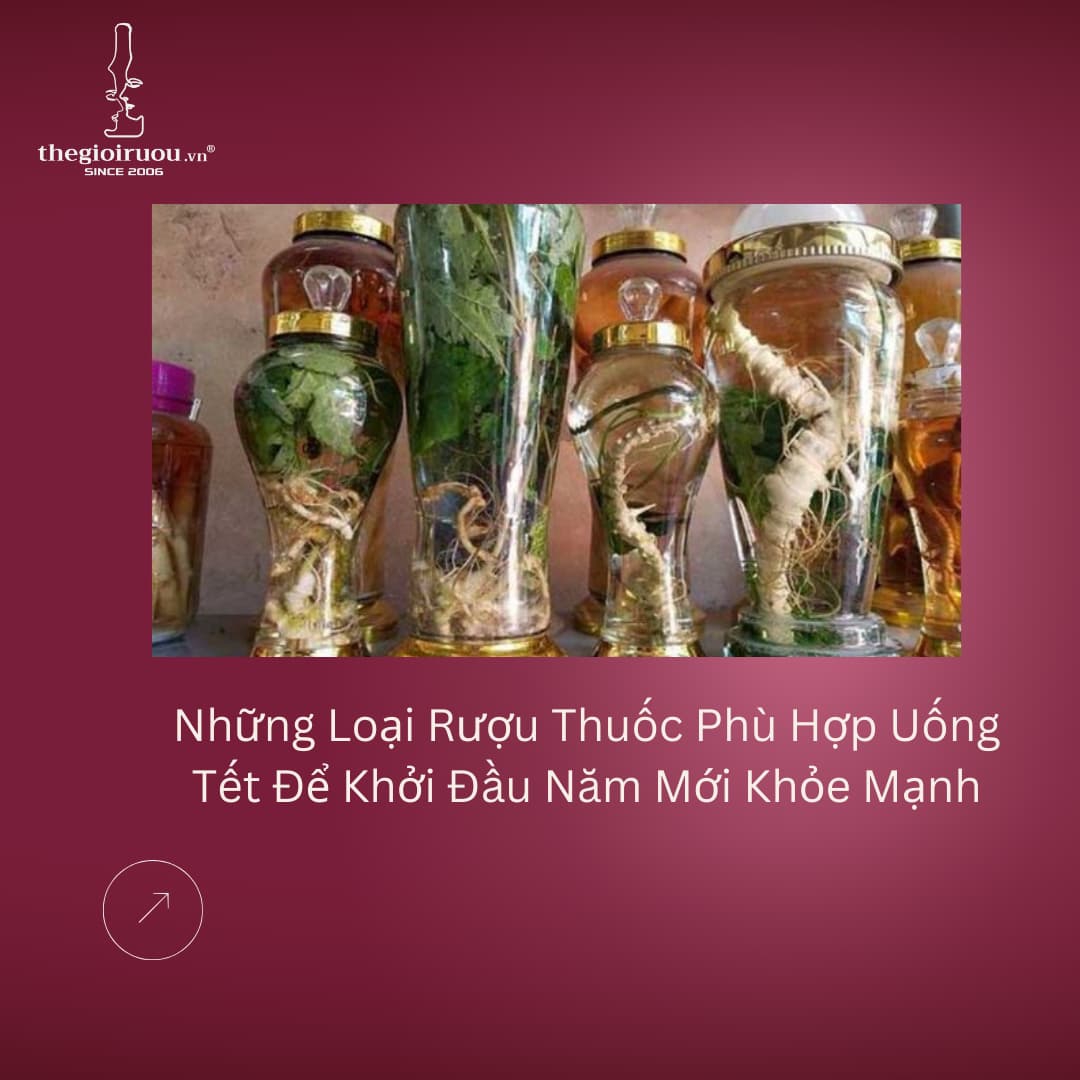 Những Loại Rượu Thuốc Phù Hợp Uống Tết Để Khởi Đầu Năm Mới Khỏe Mạnh