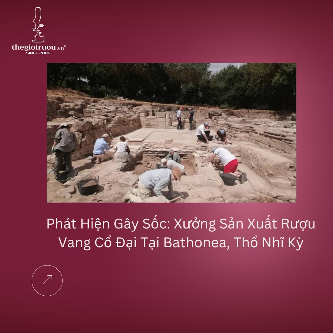 Phát Hiện Gây Sốc: Xưởng Sản Xuất Rượu Vang Cổ Đại Tại Bathonea, Thổ Nhĩ Kỳ