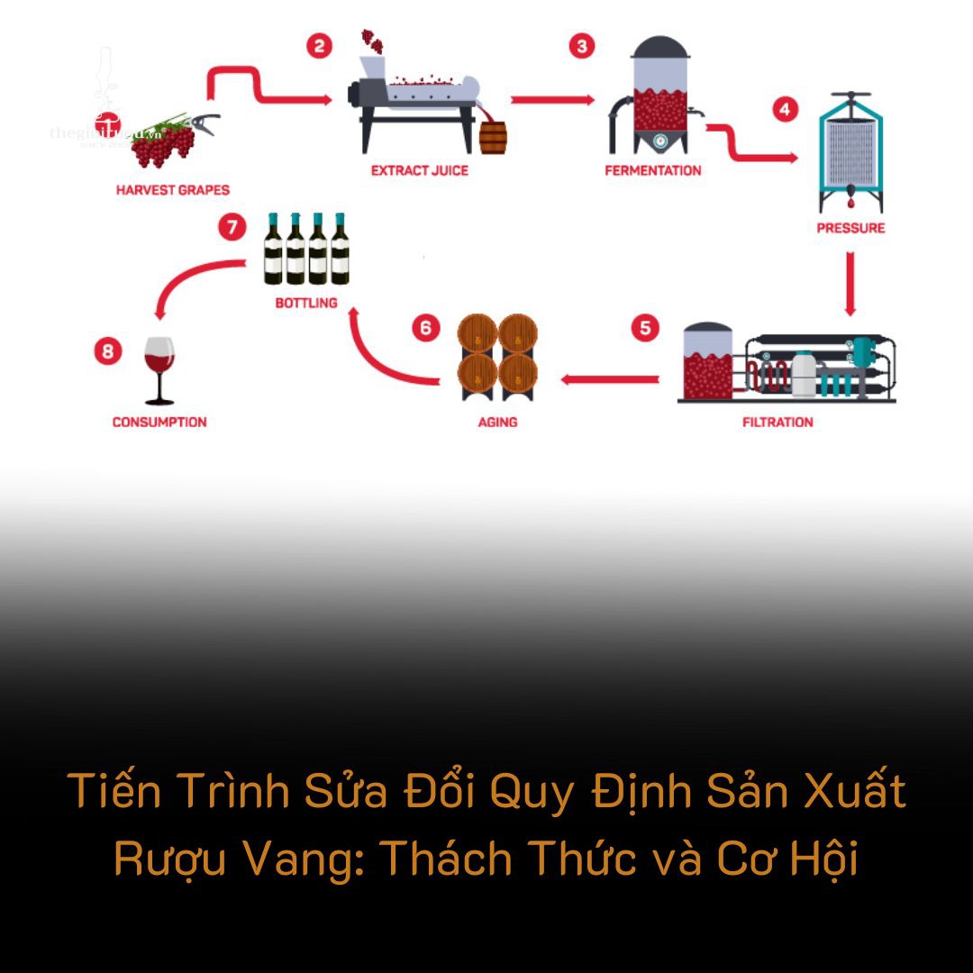 Tiến Trình Sửa Đổi Quy Định Sản Xuất Rượu Vang: Thách Thức và Cơ Hội