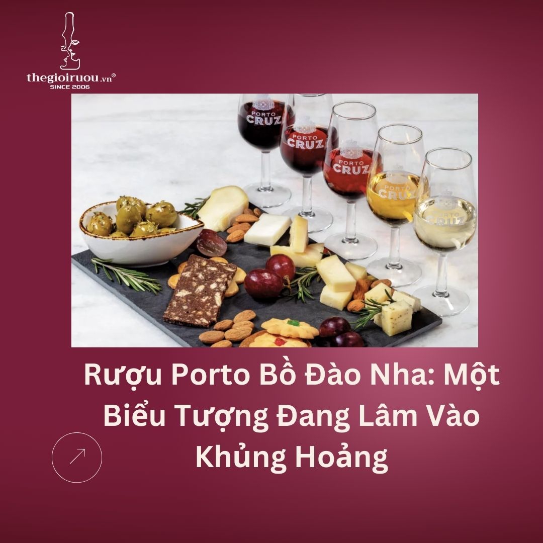 Rượu Porto Bồ Đào Nha: Một Biểu Tượng Đang Lâm Vào Khủng Hoảng