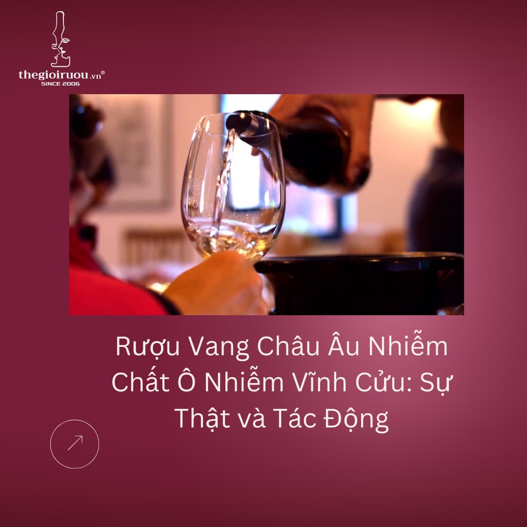 Rượu Vang Châu Âu Nhiễm Chất Ô Nhiễm Vĩnh Cửu: Sự Thật và Tác Động