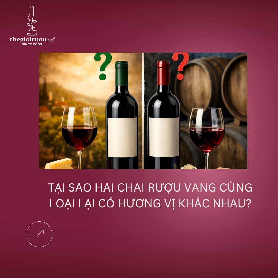 Tại Sao Hai Chai Rượu Vang Cùng Loại Lại Có Hương Vị Khác Nhau?