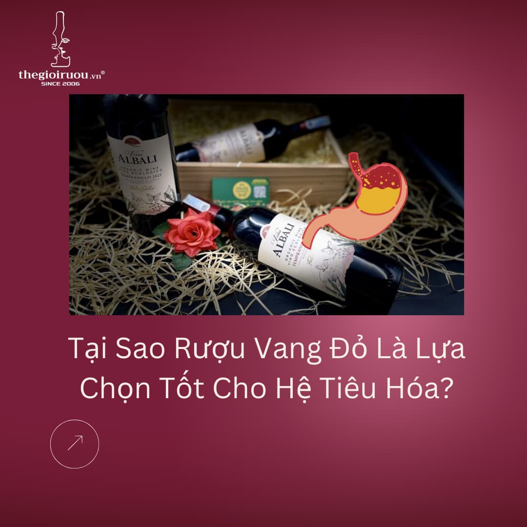 Tại Sao Rượu Vang Đỏ Là Lựa Chọn Tốt Cho Hệ Tiêu Hóa?