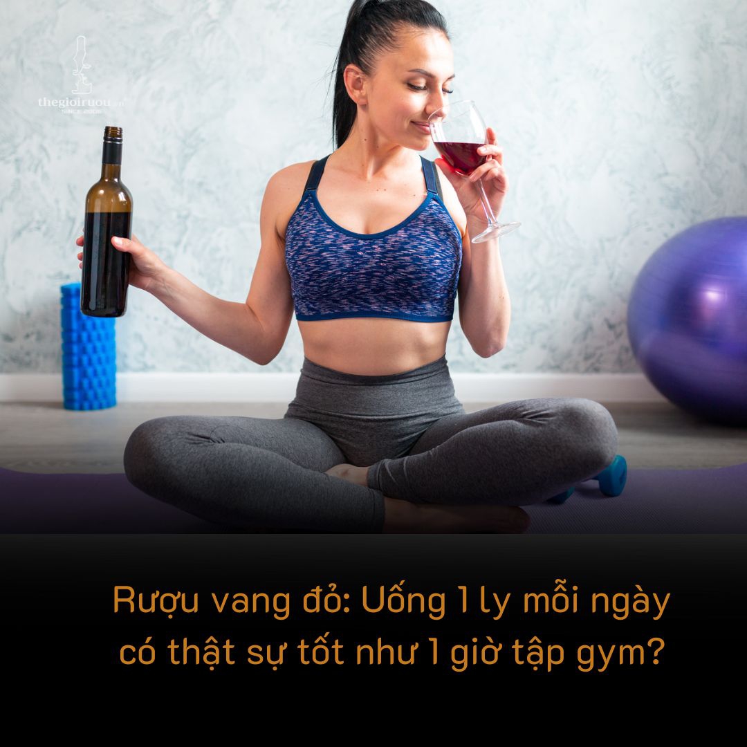 Rượu vang đỏ: Uống 1 ly mỗi ngày có thật sự tốt như 1 giờ tập gym?