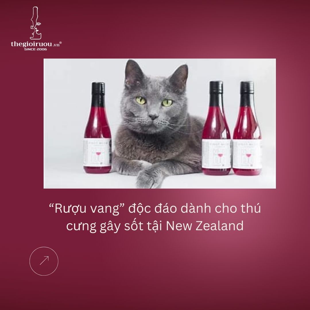 “Rượu vang” độc đáo dành cho thú cưng gây sốt tại New Zealand