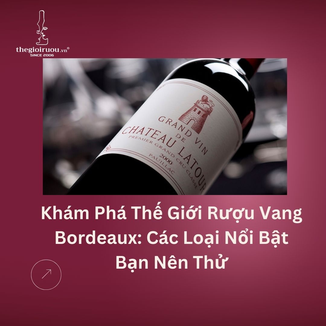 Khám Phá Thế Giới Rượu Vang Bordeaux: Các Loại Nổi Bật Bạn Nên Thử