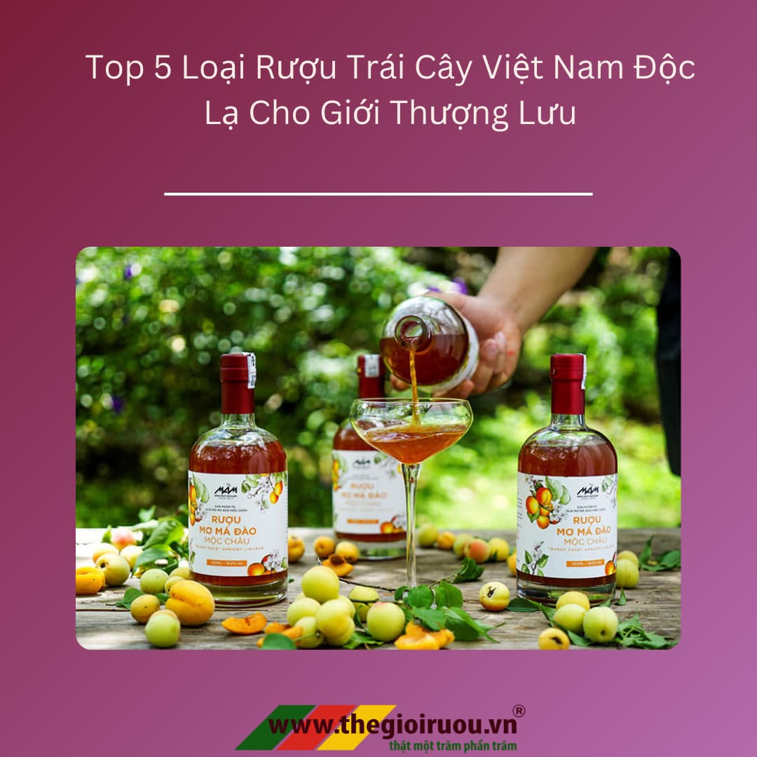 Top 5 Loại Rượu Trái Cây Việt Nam Độc Lạ Cho Giới Thượng Lưu