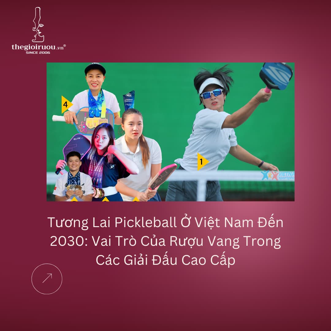 Tương Lai Pickleball Ở Việt Nam Đến 2030: Vai Trò Của Rượu Vang Trong Các Giải Đấu Cao Cấp