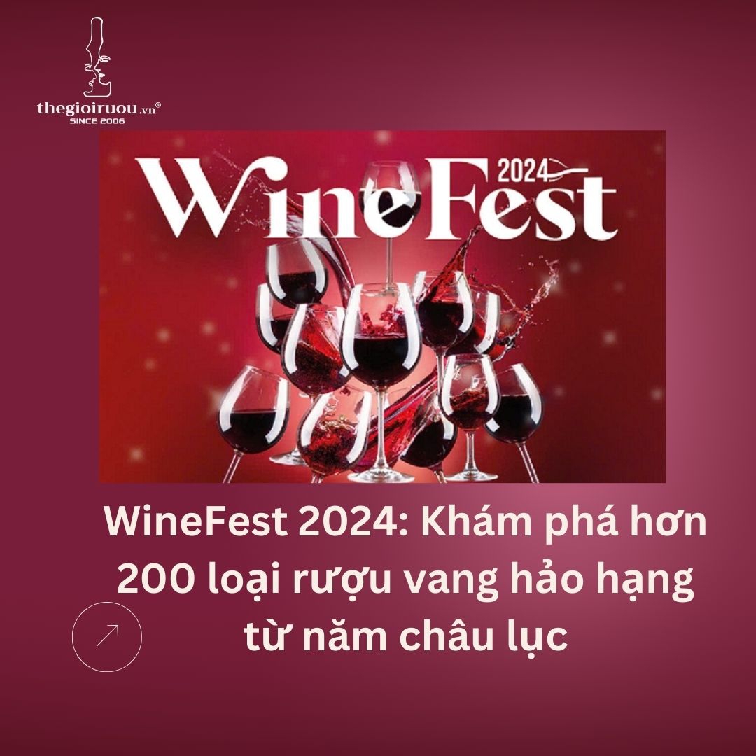 WineFest 2024: Khám phá hơn 200 loại rượu vang hảo hạng từ năm châu lục